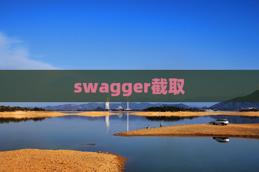 swagger截取
